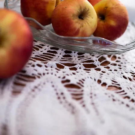 Sots In Center Apartment Sofia