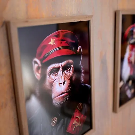 Sots In Center דירה סופיה